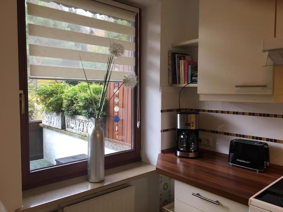Wohnung Direkt Am Tegernsee Mit Xl-Terrasse Гмунд ам Тегернзее Екстериор снимка